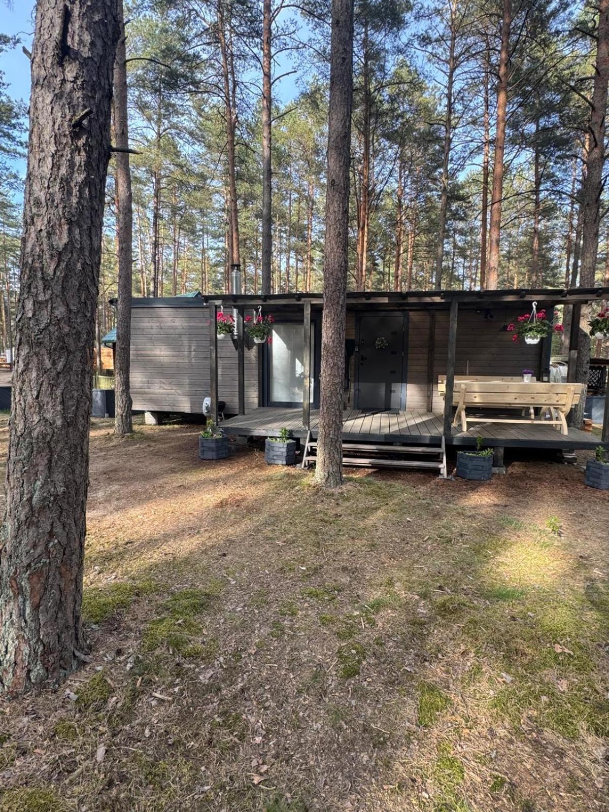Domek Borsk Exterior photo